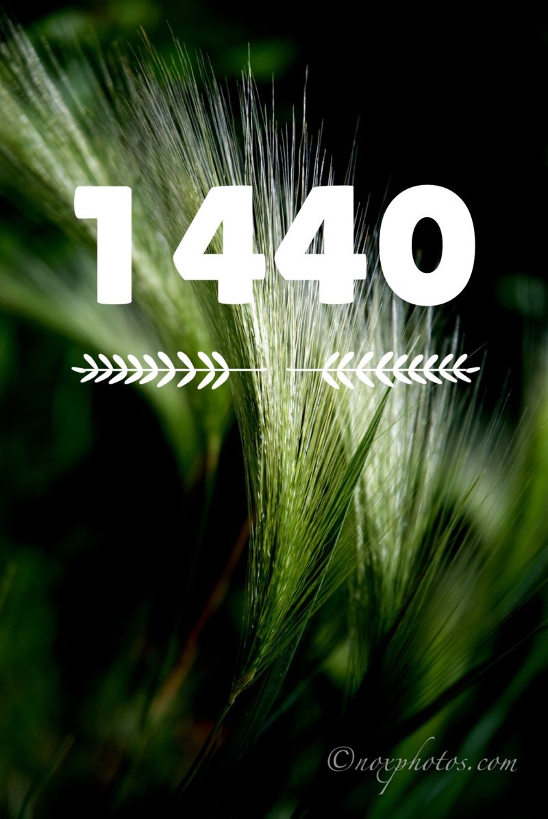 blog-image