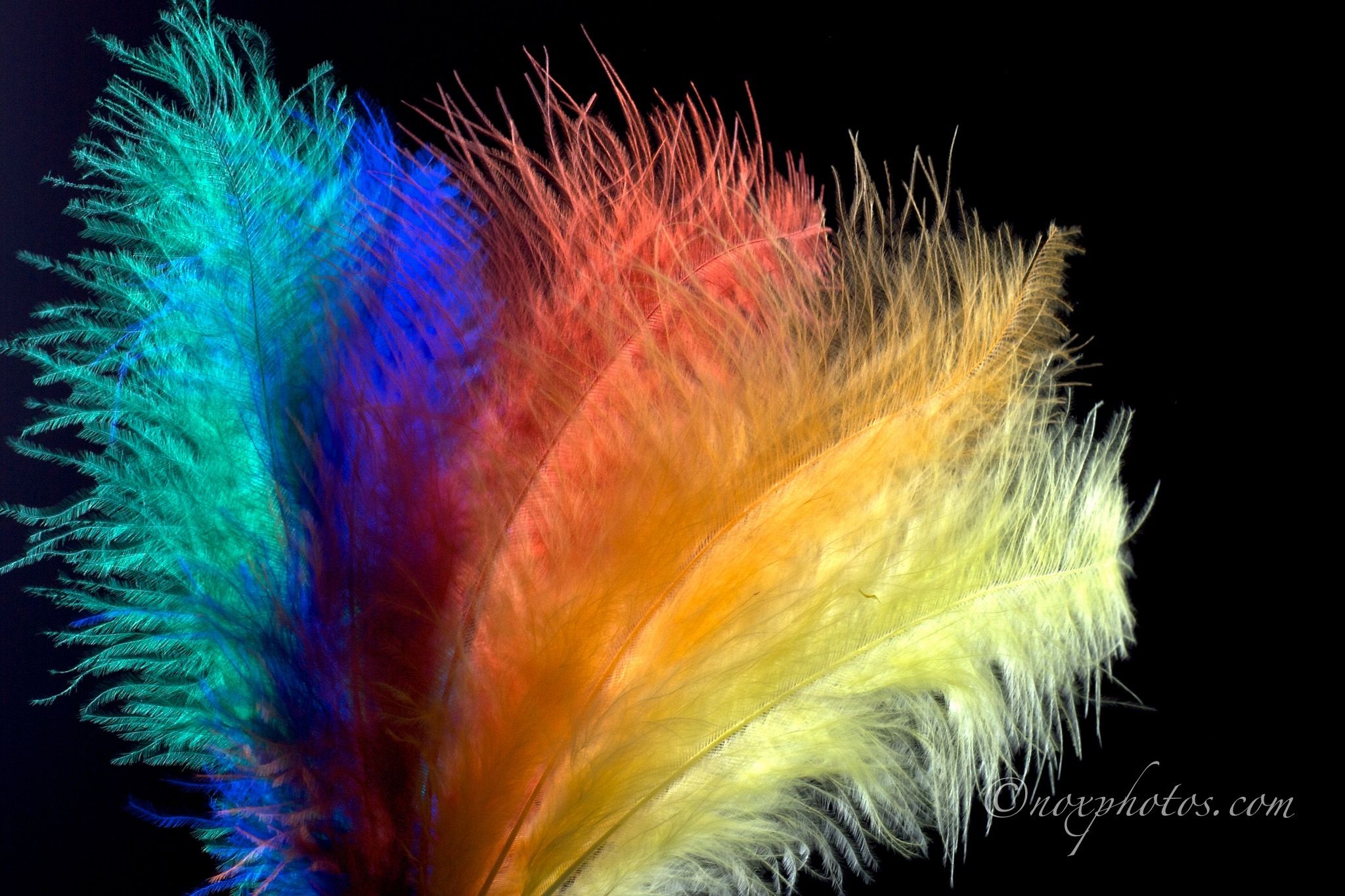 blog-image